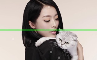 自w到高c的25种方法带图