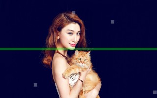 日本CSGO大姐姐AWP逆袭战术揭秘提升你的游戏技巧