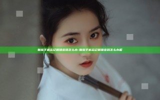 魅族手机忘记解锁密码怎么办-魅族手机忘记解锁密码怎么办呢