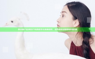 揭示国产 欧洲 日产车的优势与发展趋势，提升购车决策的参考价值