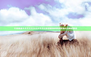 午夜精品久久久久久久久久久久 让你领略别样的深夜魅力与精彩体验