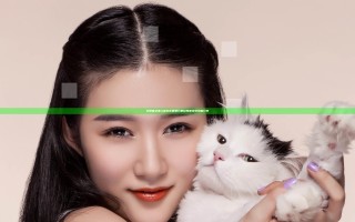 只狼壶之贵人春长在哪里 只狼轻舟渡获取攻略分享