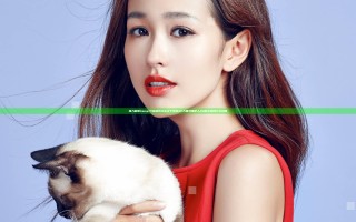 深入解析 & 行业趋势 分享关于无码AV大香线蕉伊人29 的实用技巧与攻略