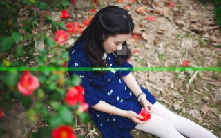 无限法则怎么查询战绩？战绩查询方法是什么？