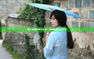 死亡搁浅车辆怎么得？车辆获得方法介绍