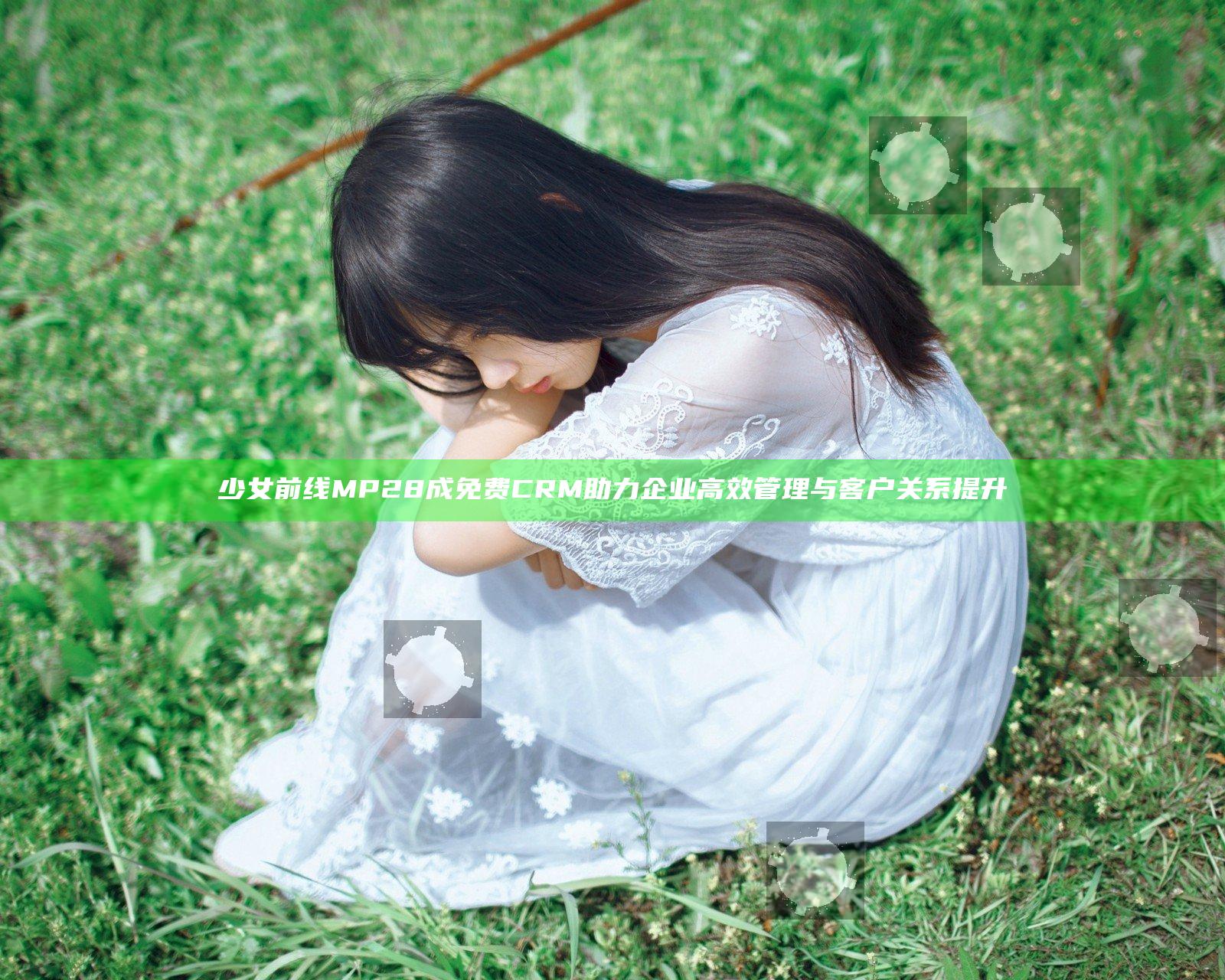 少女前线MP28成免费CRM助力企业高效管理与客户关系提升