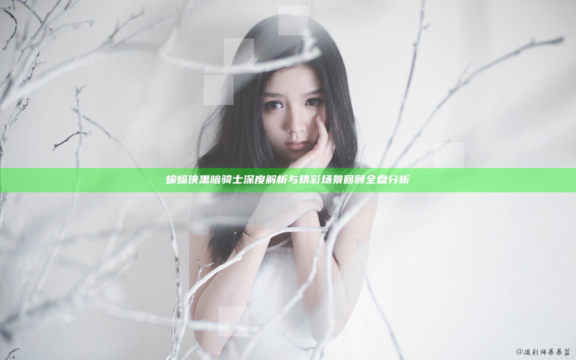 蝙蝠侠黑暗骑士深度解析与精彩场景回顾全盘分析